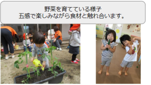 食事の提供について