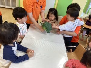 園ブログ　5月食育活動🥦