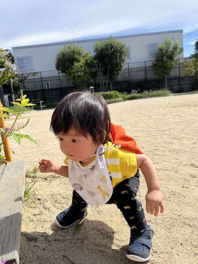 園ブログ　１０月になりました🍂