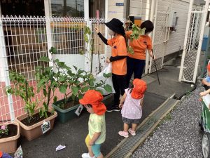 みんなで大事に育てるよ🥦