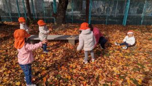 秋みーつけた🍁