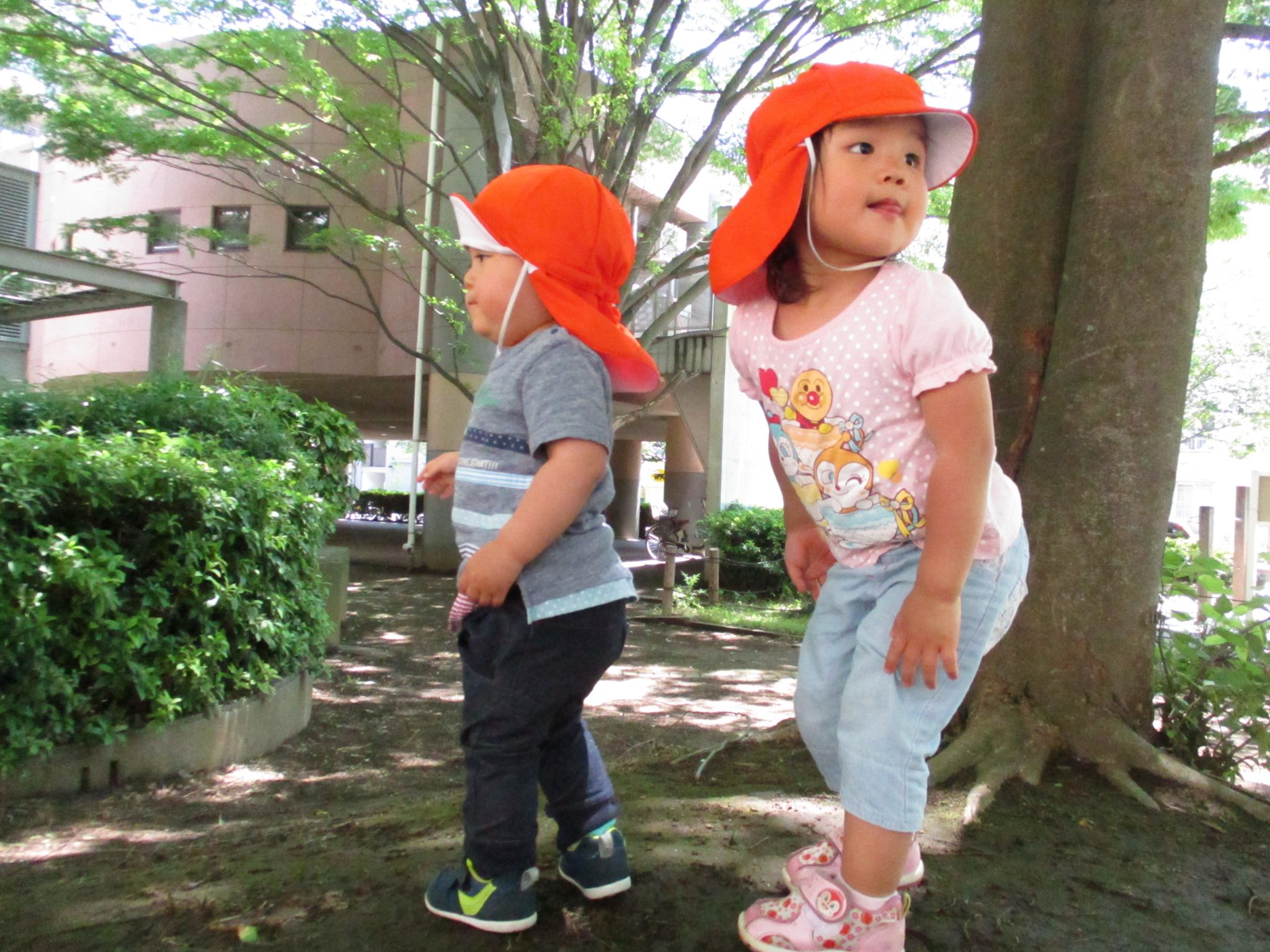 11月21日(土)の給食・おやつ