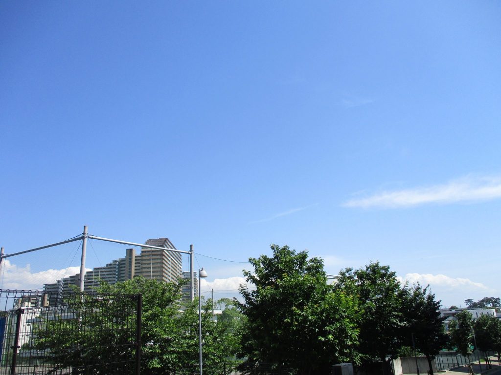 皆で