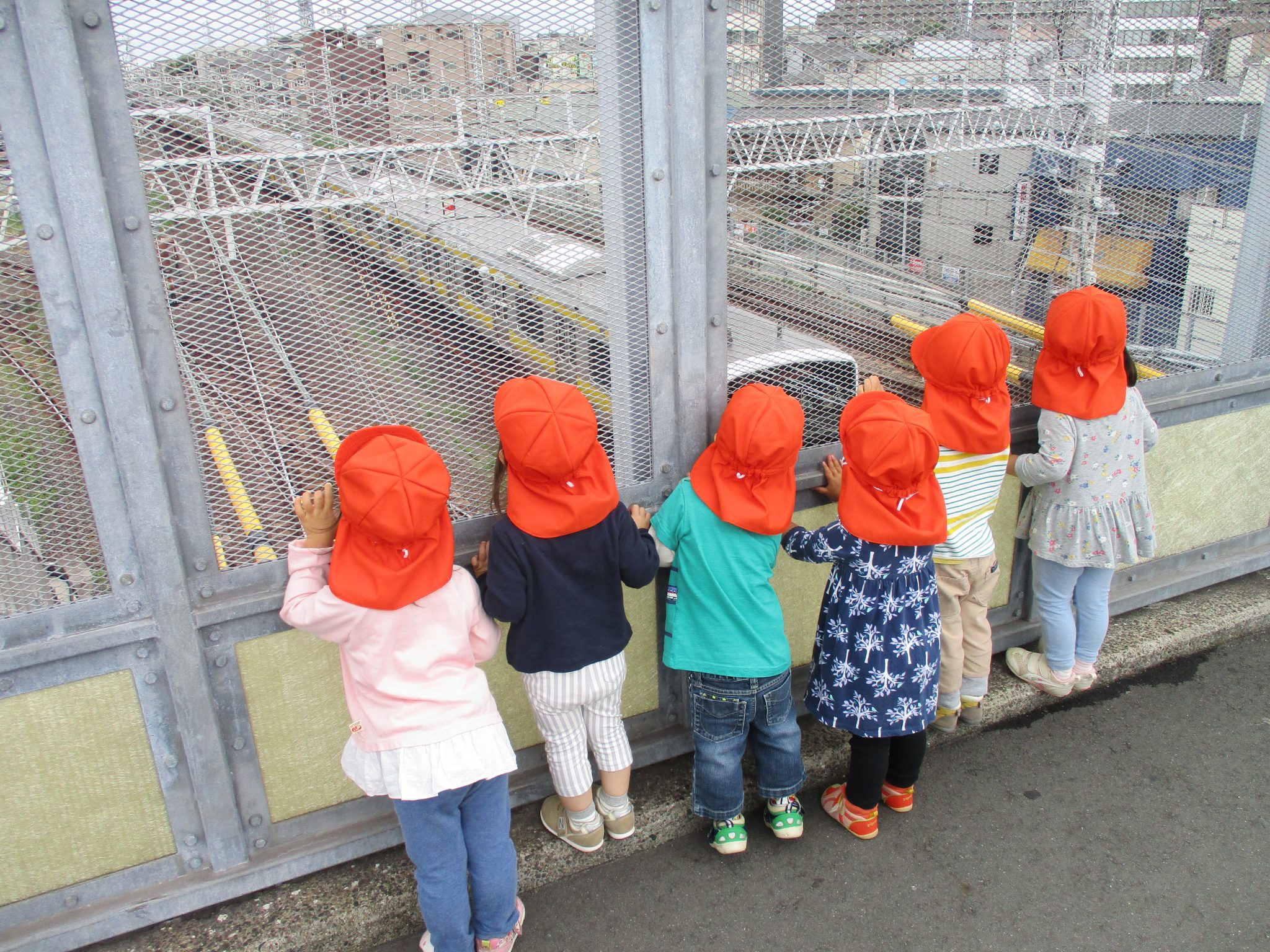 夏が来ない、、、