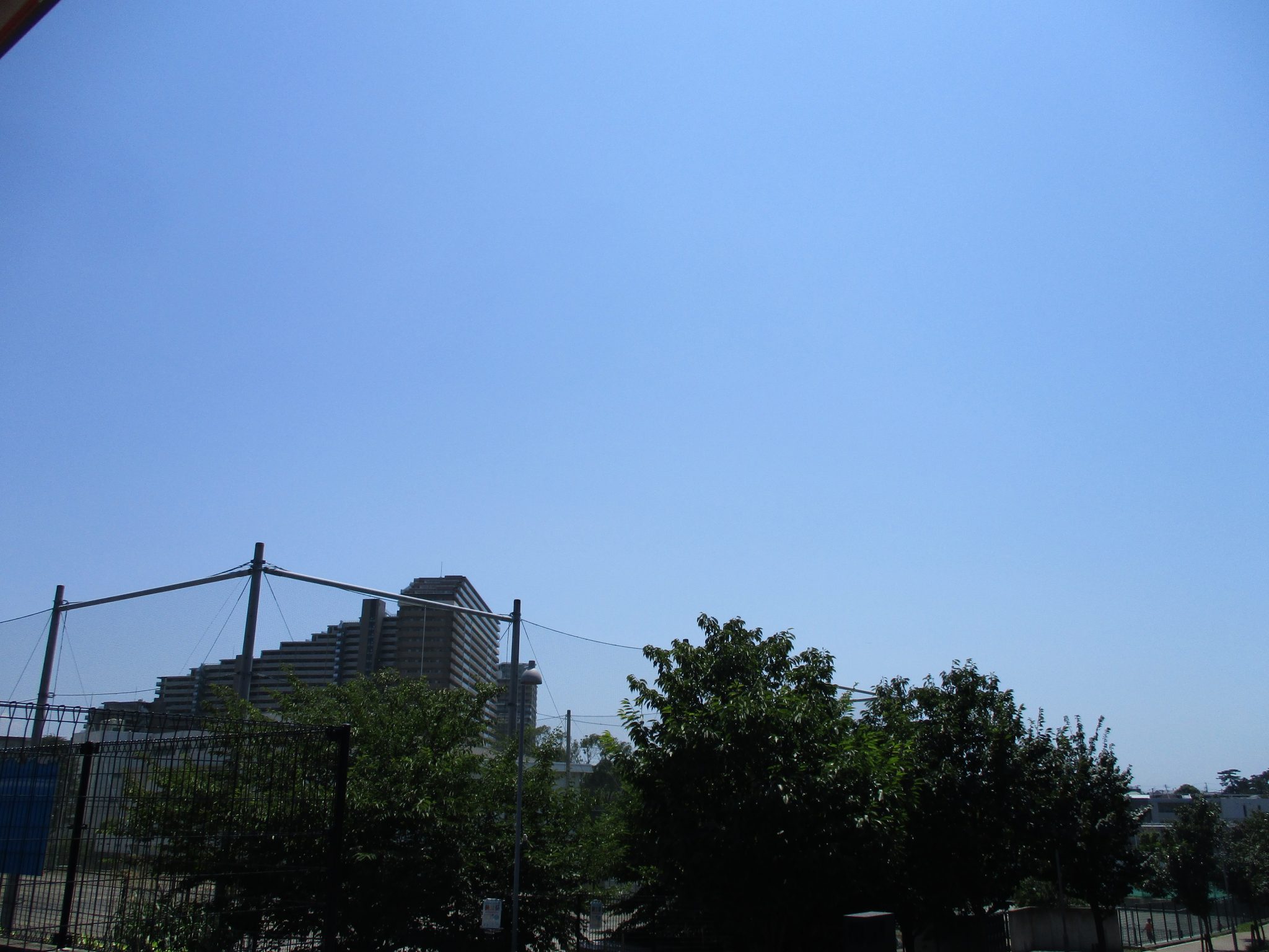 夏が止まらない