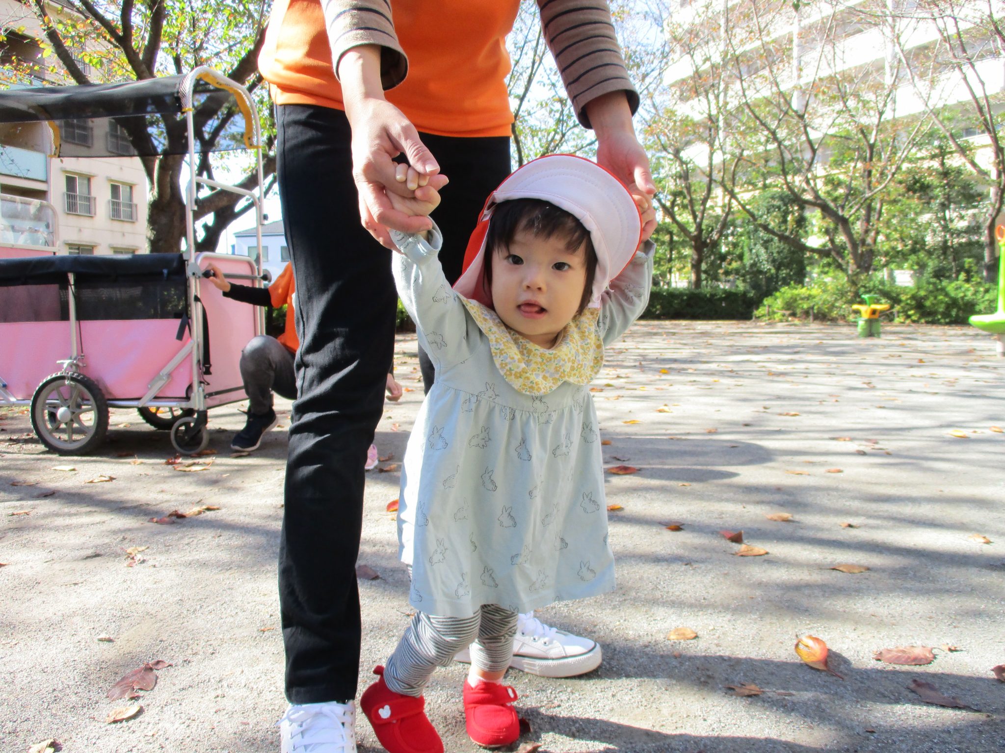 それぞれの活動