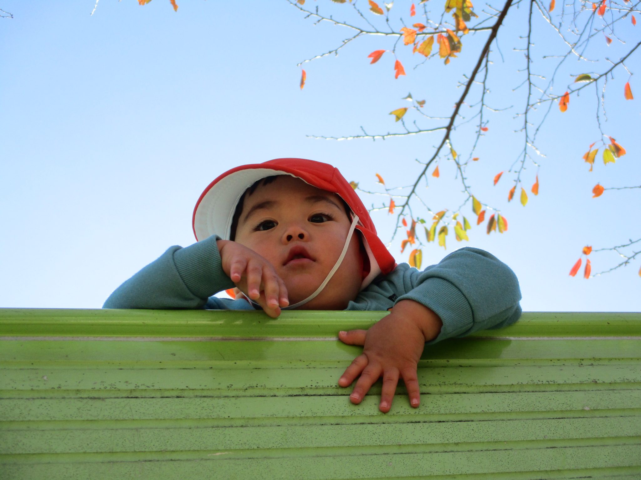 6月14 日(火)の給食・おやつ