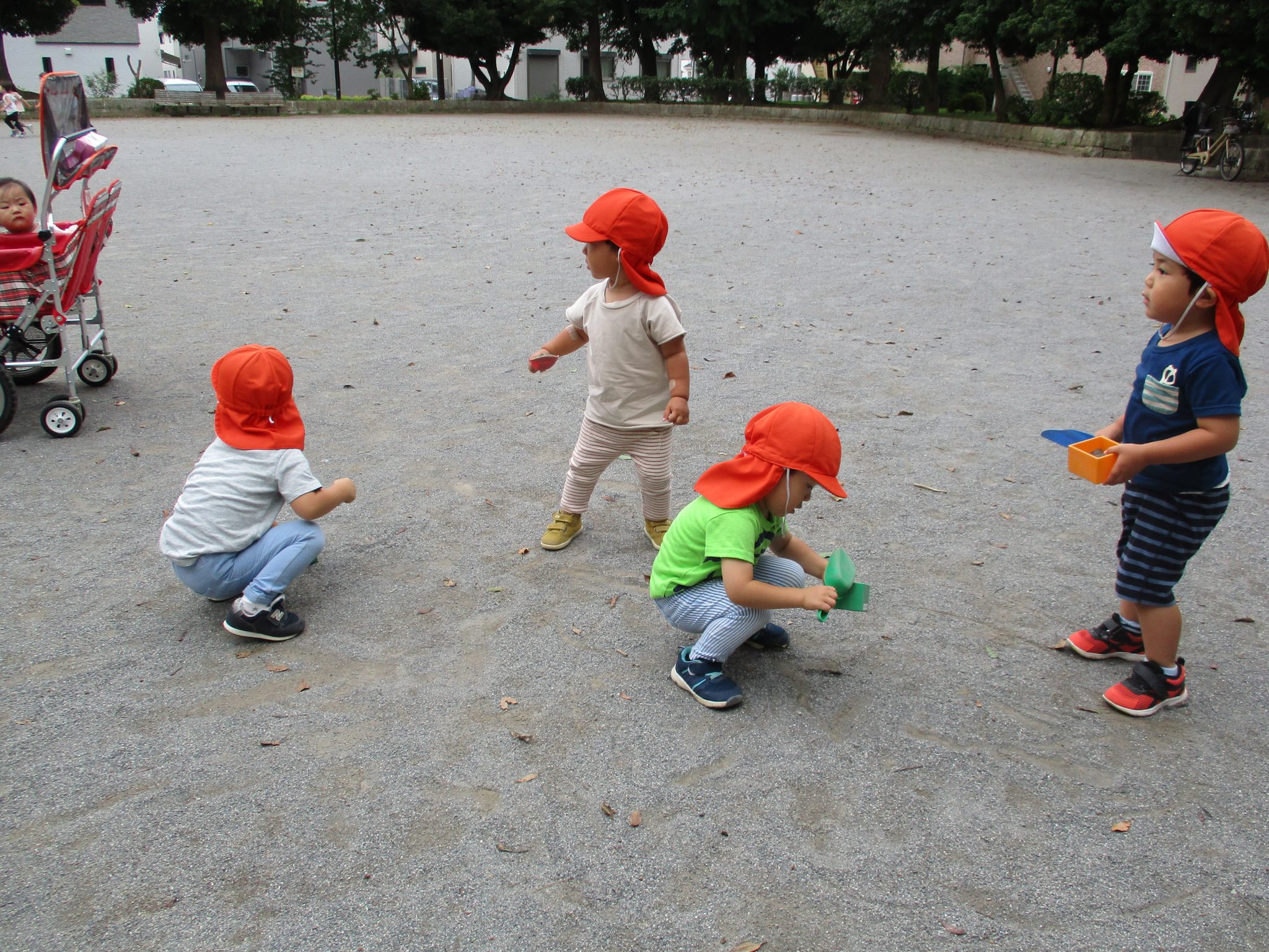 梅雨明けの便り