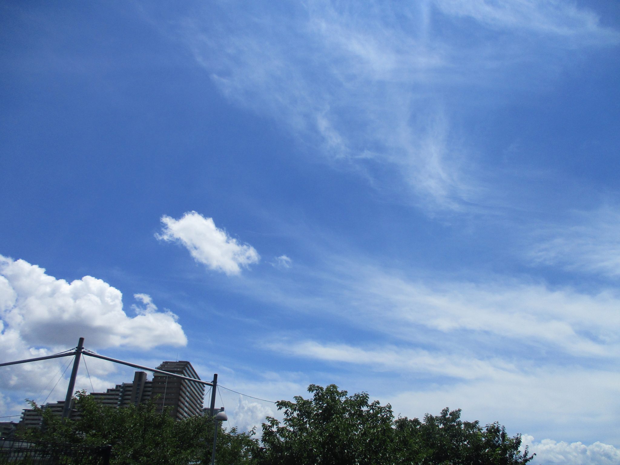 SEASON IN SUMMER