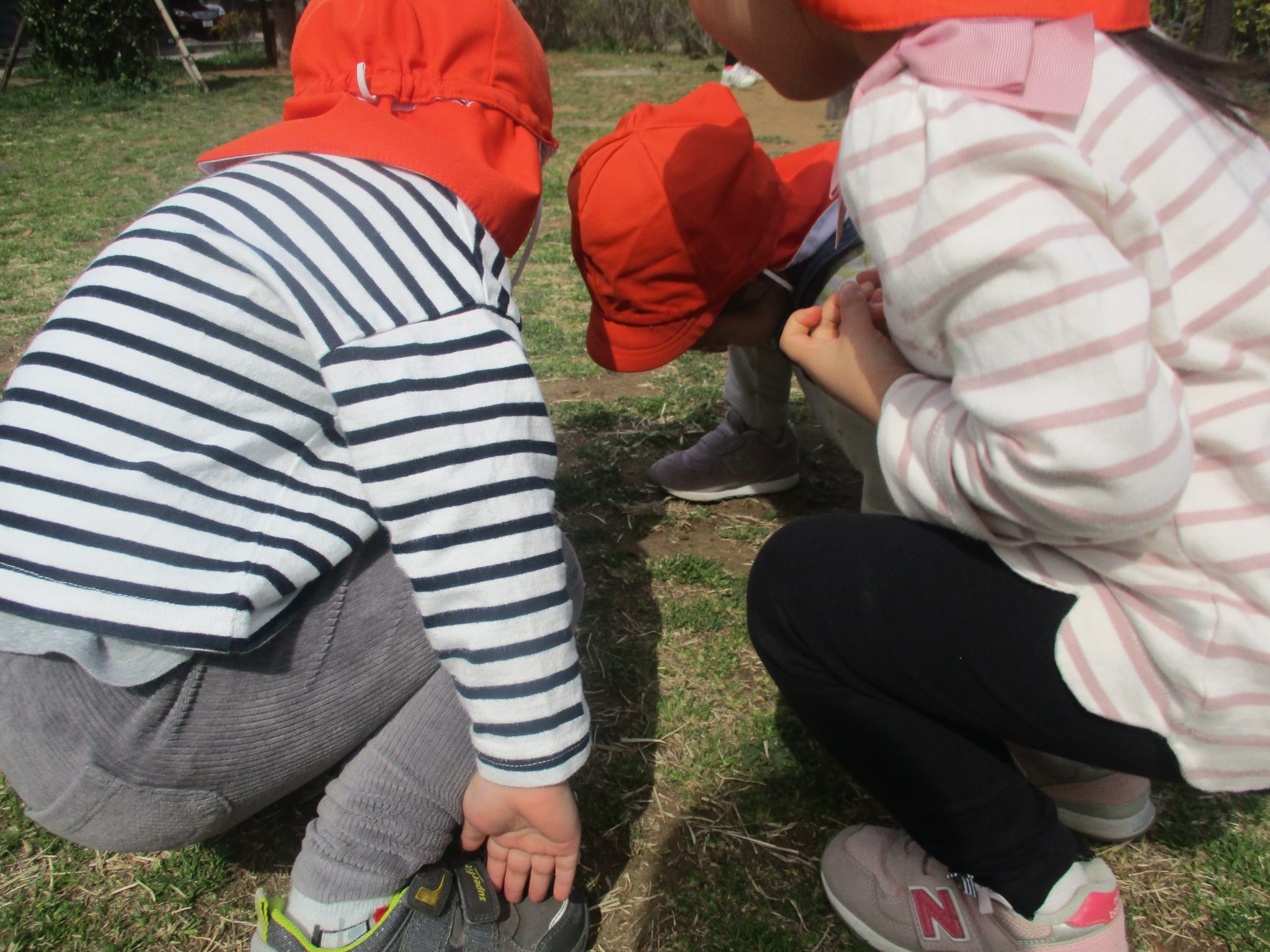 最後の直線コース