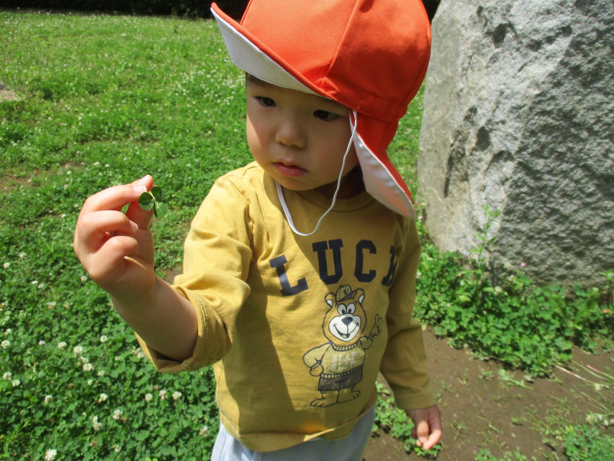 絵本紹介「ひよこはにげます」