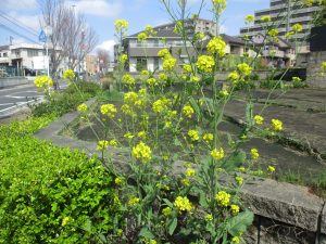 「楽しみの終わりが　夢の始まり」