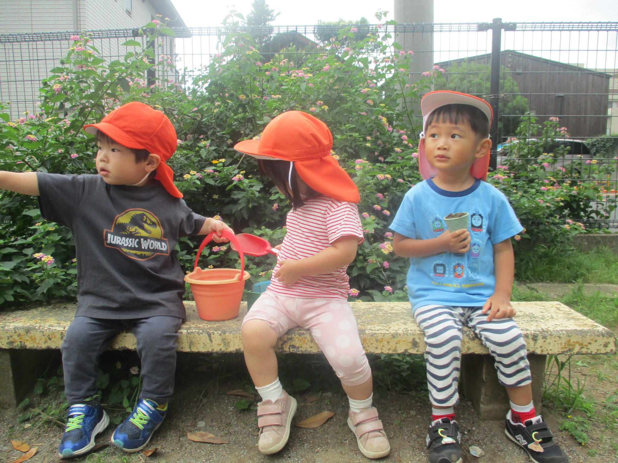 「貴重な梅雨」