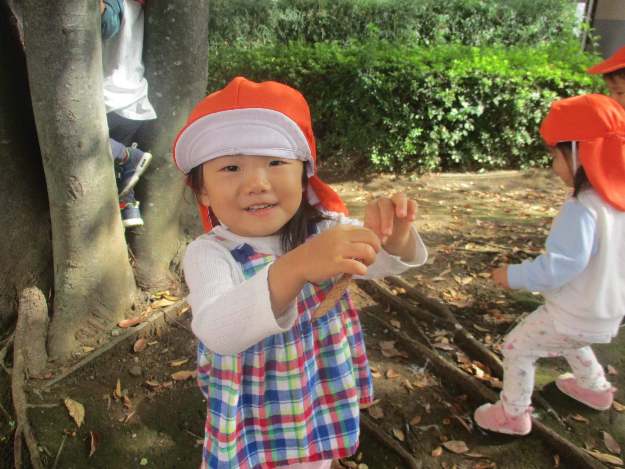 「秋のど真ん中」