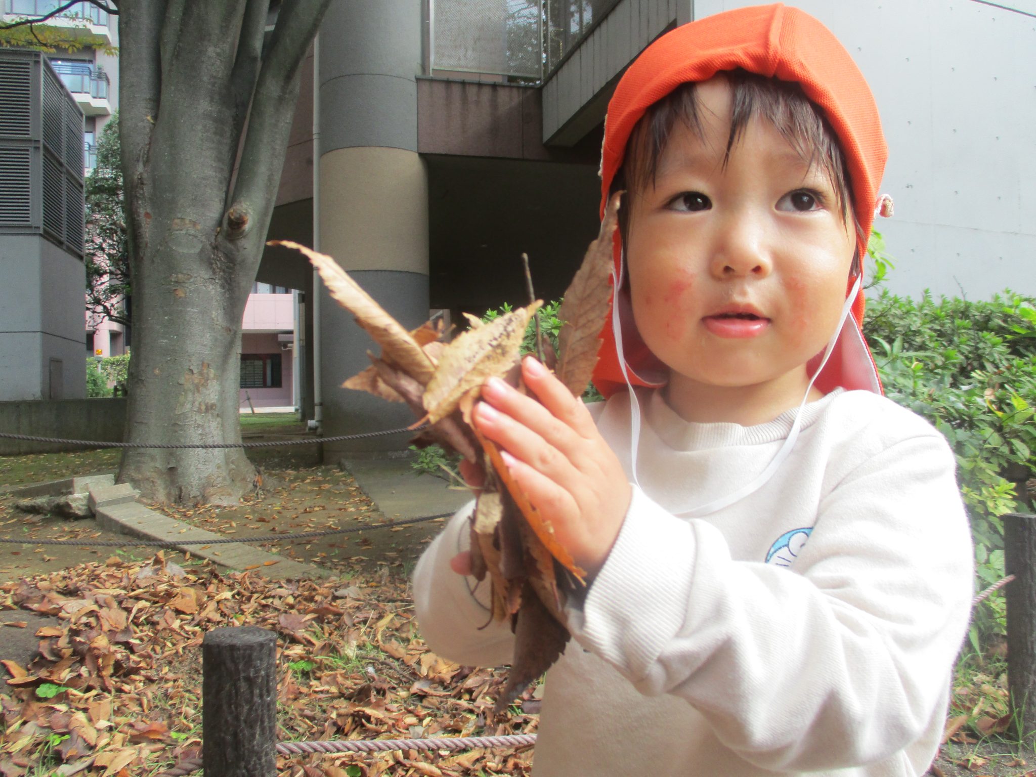「少しずつ秋から冬へ」