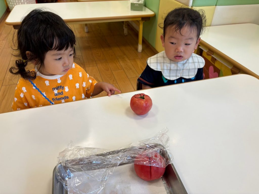 地産地消の夏野菜♪